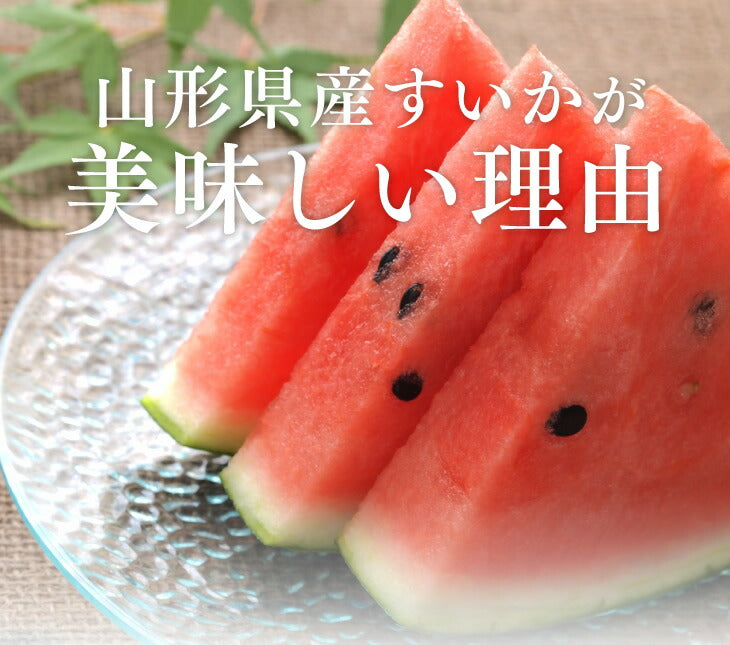 すいか 送料無料 山形県産黒皮小玉すいか 2玉入【送料無料】※一部地域は別途送料 果物 フルーツ【A品】【お中元】【ギフト】【のし対応】e2