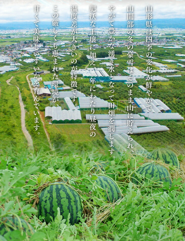 すいか 送料無料 山形県産黒皮小玉すいか 2玉入【送料無料】※一部地域は別途送料 果物 フルーツ【A品】【お中元】【ギフト】【のし対応】e2