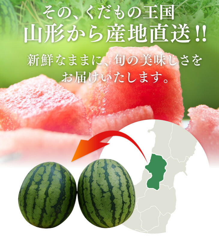 すいか 送料無料 山形県産黒皮小玉すいか 2玉入【送料無料】※一部地域は別途送料 果物 フルーツ【A品】【お中元】【ギフト】【のし対応】e2