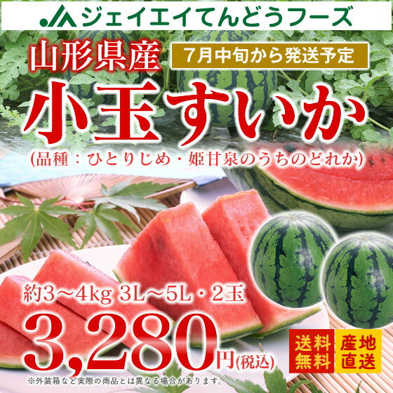 お中元 送料無料 すいか 山形県産小玉すいか 約3〜4kg／2玉入　※一部地域は別途送料 果物 フルーツ【A品】e1