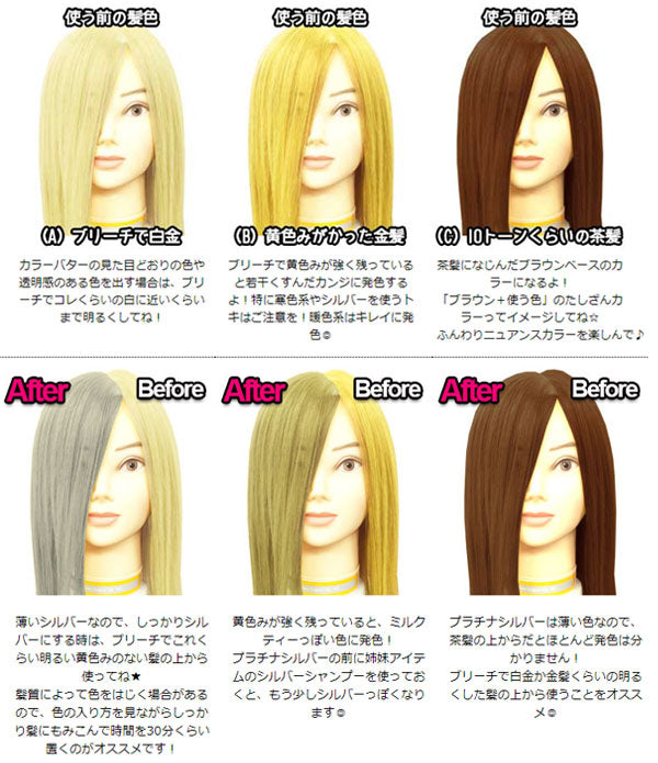 【20人シェア買いでお得】エンシェールズ カラーバター 200g プラチナシルバー ヘアカラー トリートメント ヘアマニキュア ヘアケア クリップジョイント マニキュア インナーカラー ダメージヘア ブリーチヘアー