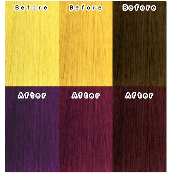 【20人シェア買いでお得】エンシェールズ カラーバター 200g アッシュパープル ヘアカラー トリートメント ヘアマニキュア ヘアケア クリップジョイント マニキュア インナーカラー ダメージヘア ブリーチヘアー
