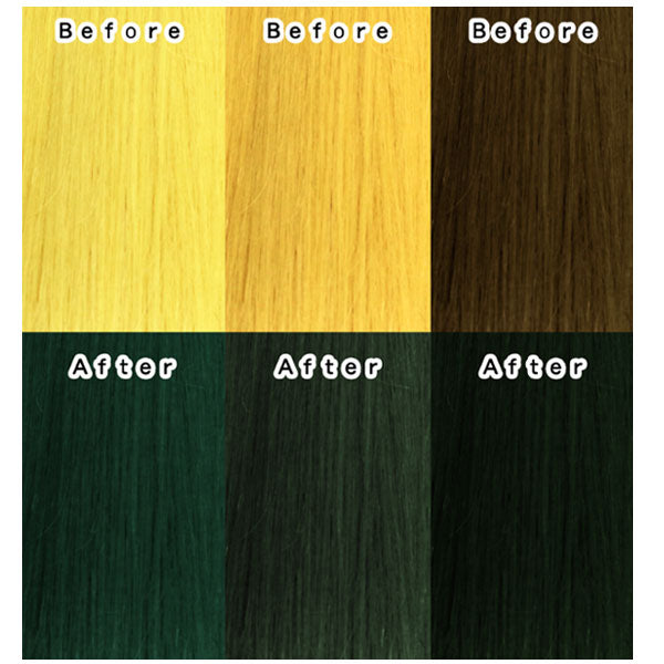 【20人シェア買いでお得】エンシェールズ カラーバター 200g アッシュグリーン ヘアカラー トリートメント ヘアマニキュア ヘアケア クリップジョイント マニキュア インナーカラー ダメージヘア ブリーチヘアー
