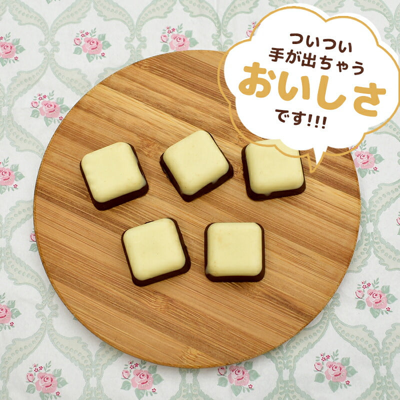 【たっぷり訳ありチョコレート ミルク＆ホワイト 430g 】約75粒入り ミルクチョコ ホワイトチョコ ホワイトチョコレート ミルクチョコレート 一口サイズ