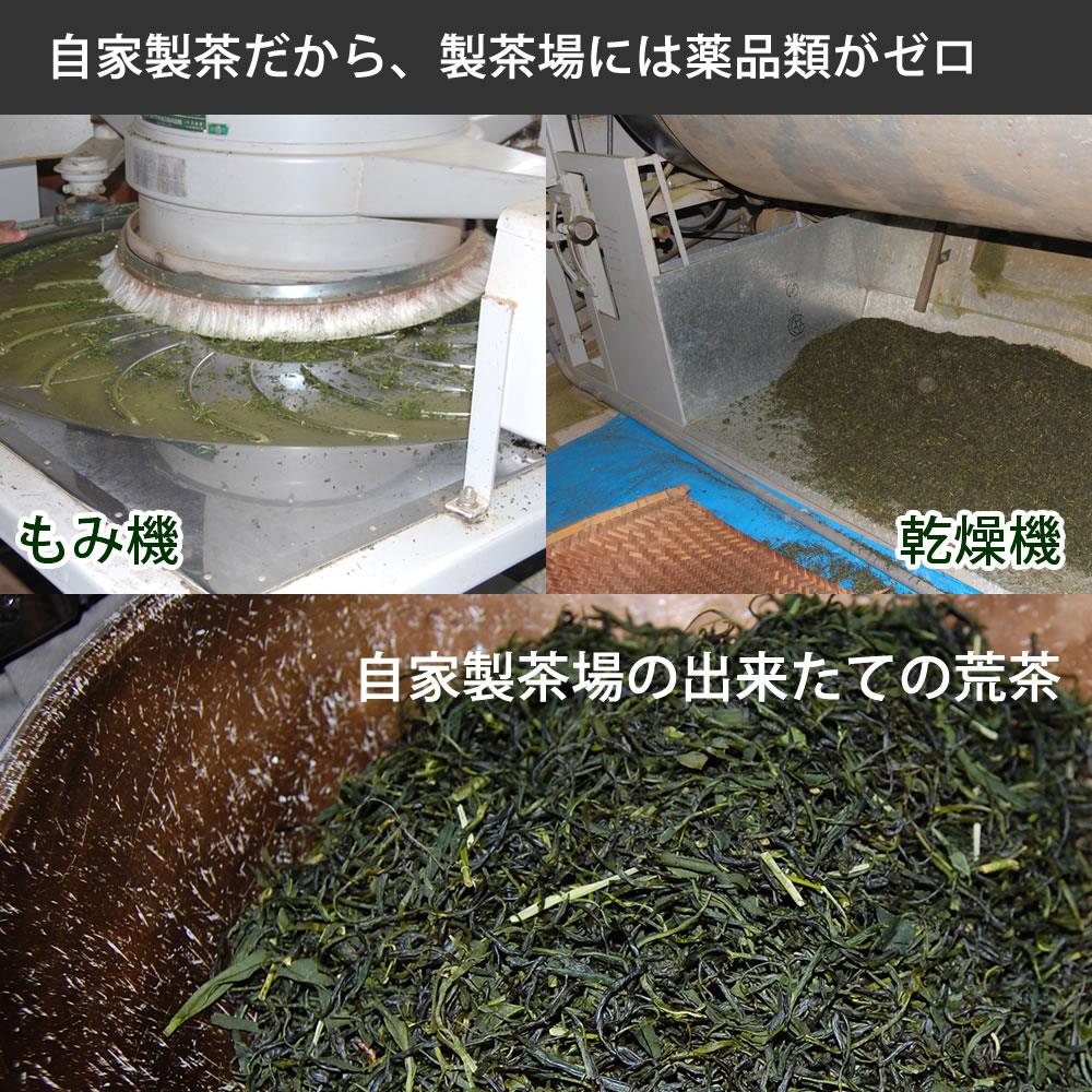 夏は かぶ飲み健康法 べにふうき粉末煎茶 3袋セット　自然栽培のべにふうき（メチル化カテキン茶）、国産べにふうき無農薬栽培 べにふうき粉末茶（メチル化カテキン茶）　 べにふうき3袋　粉末煎茶 春のべにふうき屋さん