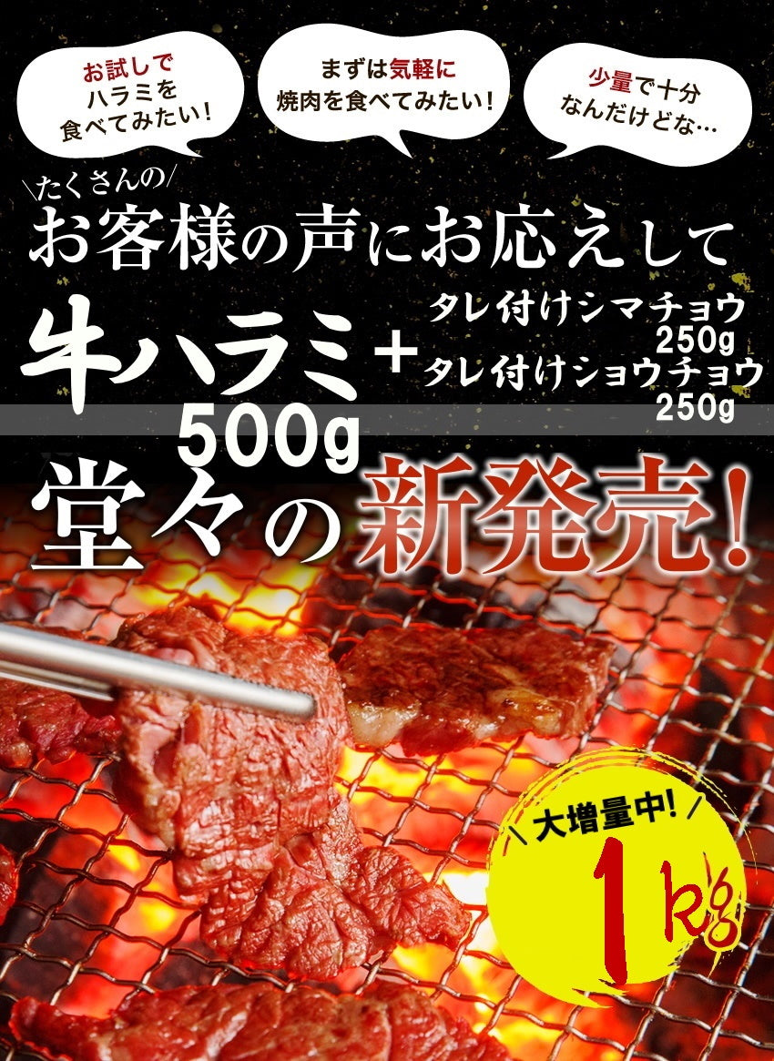 焼肉セット（ハラミ500ｇ+タレ漬けシマチョウ250g＋タレ漬けショウチョウ250ｇ）
