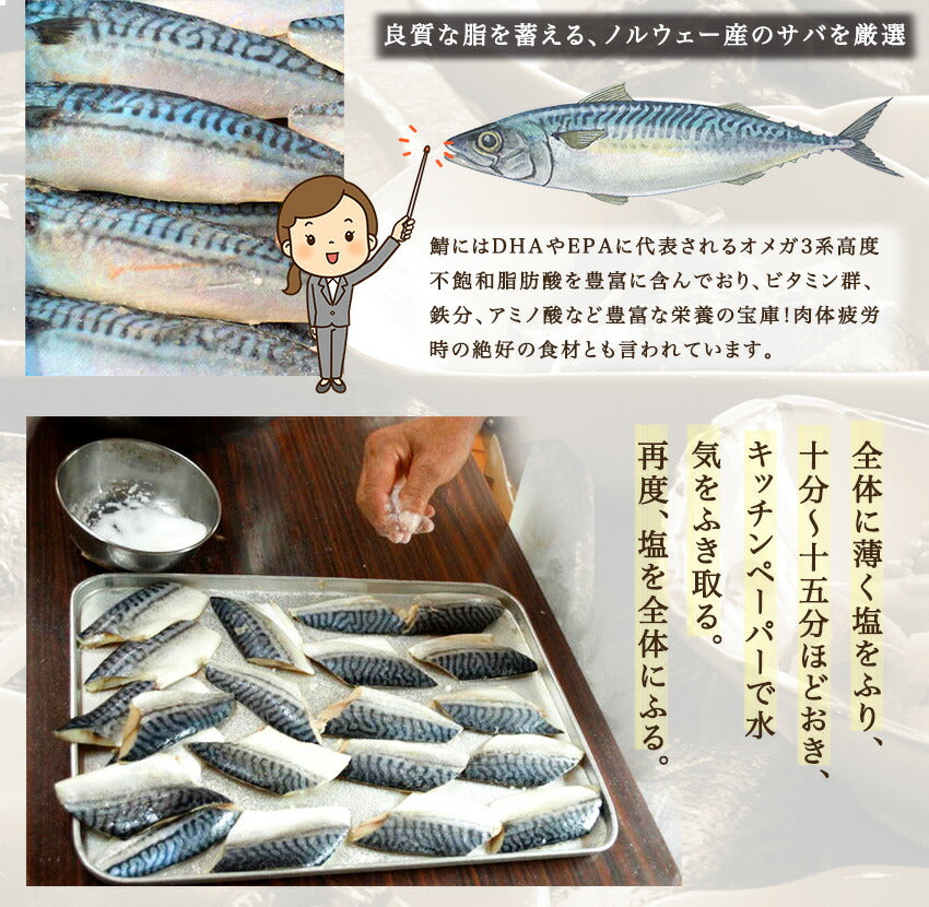 焼鯖(10パック)