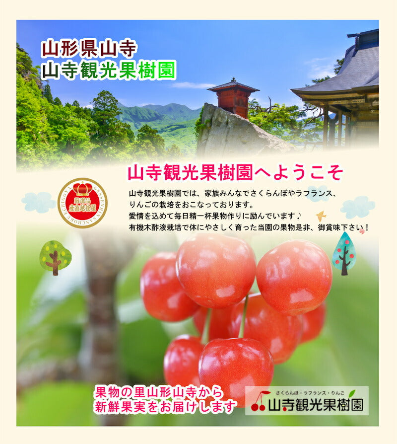 【フルーツ 山形県 さくらんぼ ジャム】山寺観光果樹園さくらんぼを丸ごと使ったジャムさくらんぼ100％ジャム 150g 2個送料無料【リンゴ 果物 贈答品 ギフト】