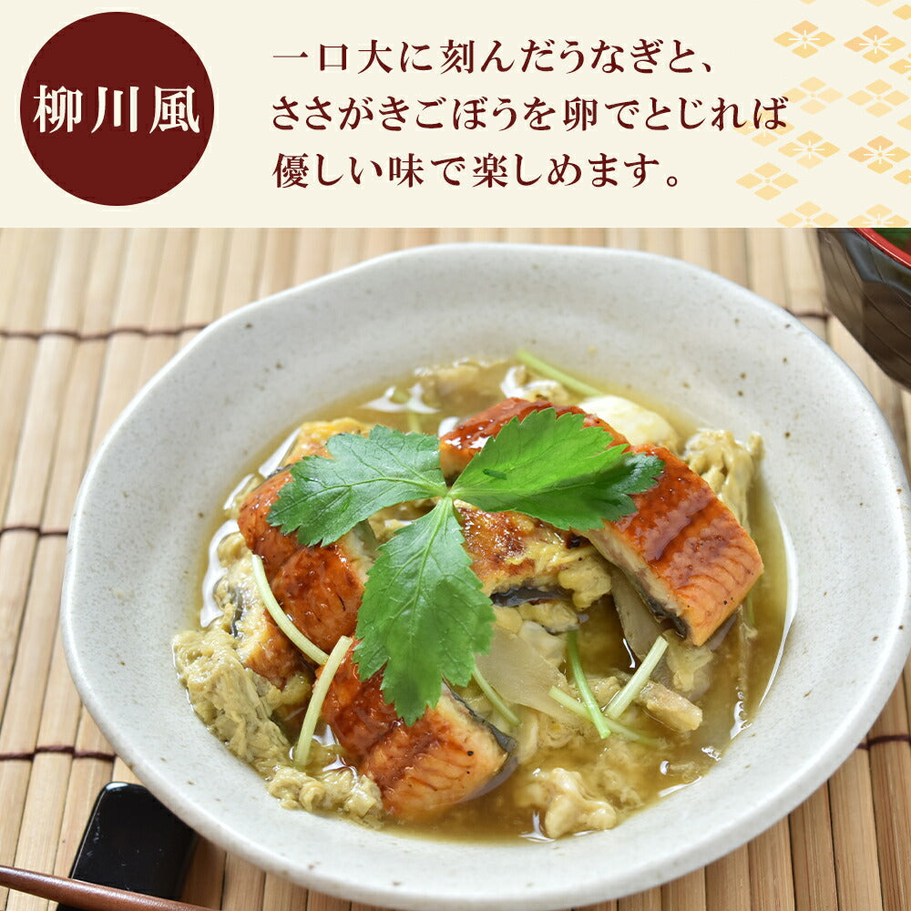 鹿児島産うなぎ蒲焼2尾セット