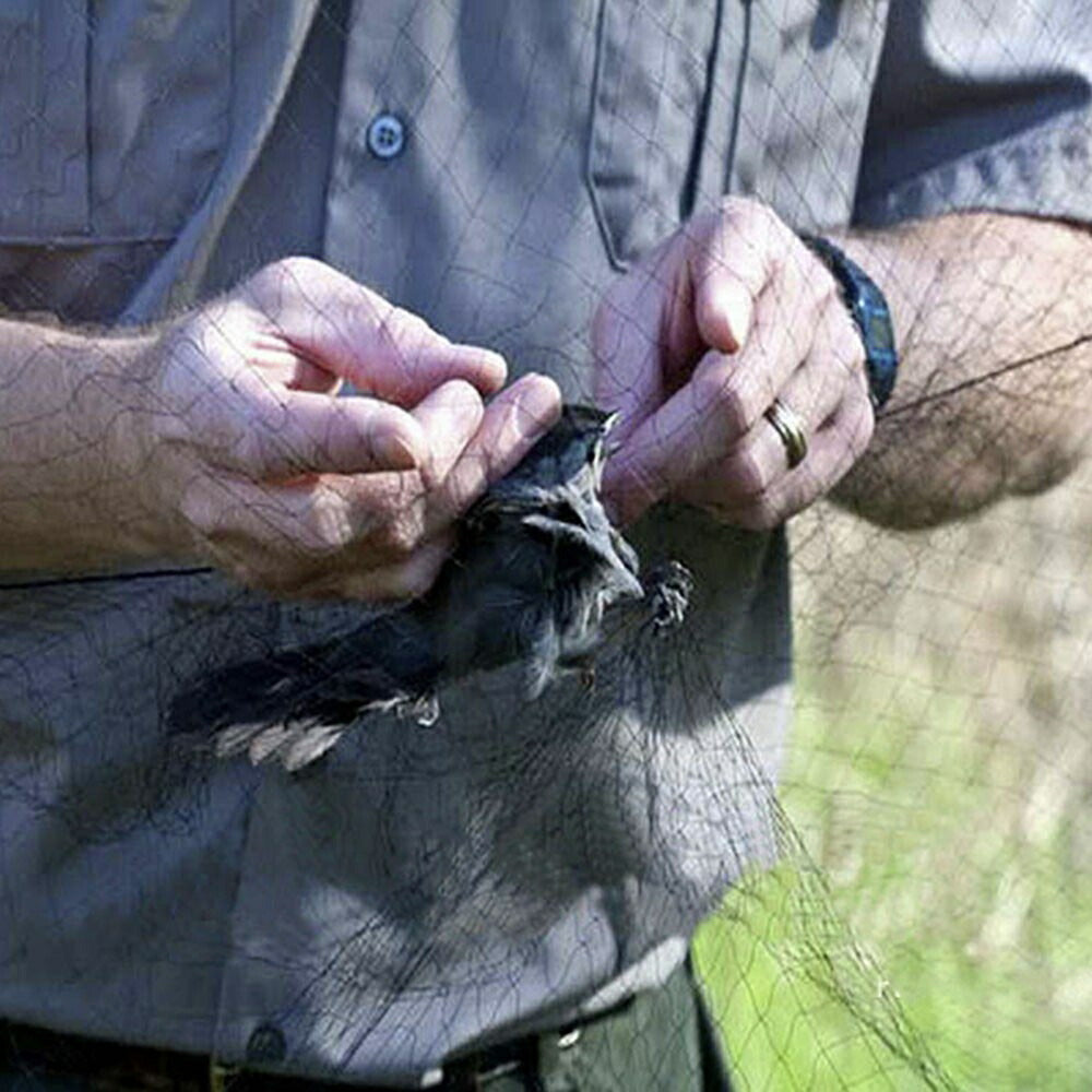 ネット 鳥よけネット 畑 3m×15m バードネット 長さカット 可能 防鳥ネット カラス対策 からすよけ ゴミネット 家庭菜園ネット 農業用品 資材 防鳥ネット ベランダ 鳥よけ 網 田畑 鳥害対策 ハト ツバメ スズメ 水稲 果樹園 菜園