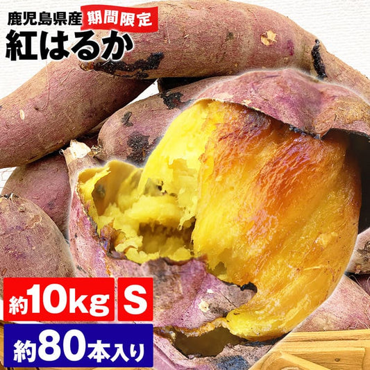 紅はるか さつまいも 約10kg 約80本入り Sサイズ 家庭用 鹿児島県産 送料無料 常温便 同梱不可 指定日不可 高糖度 焼き芋 お取り寄せグルメ 食品 ギフト