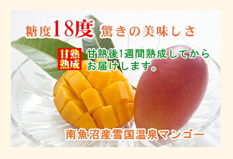 【フルーツ 果物 マンゴー 送料無料】新潟県 南魚沼産 雪国温泉マンゴー温泉の熱で育てた甘熟マンゴー Lサイズ 251g以上 1個 魚沼の妖精【化粧箱 ギフトに最適 お中元】