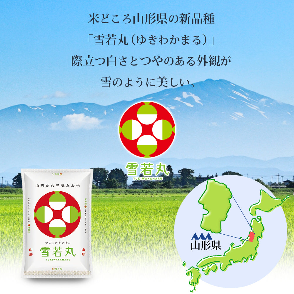【限定クーポンで20%OFF】雪若丸 無洗米 10kg (5kg×2袋) 山形県産 令和3年産 送料無料 10キロ 米 こめ コメ お米 精米 新米