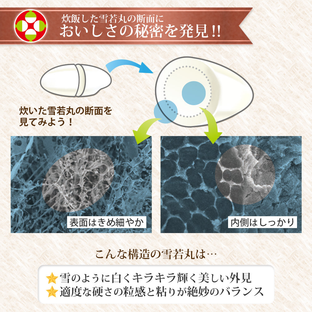 【限定クーポンで20%OFF】雪若丸 玄米 30kg 山形県産 令和3年産 送料無料 30キロ 米 こめ コメ お米 新米