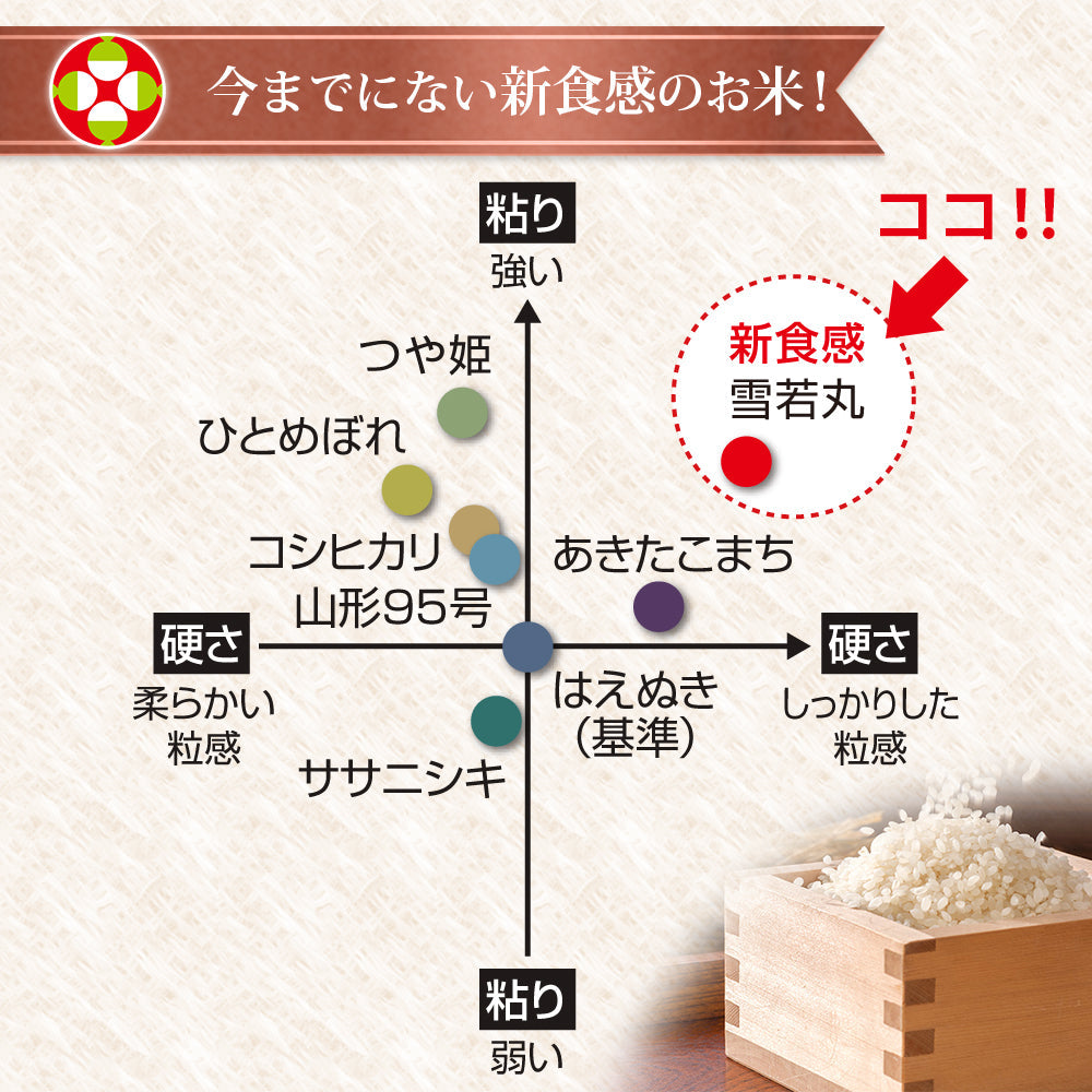 【限定クーポンで20%OFF】雪若丸 無洗米 20kg (5kg×4袋) 山形県産 令和3年産 送料無料 20キロ 米 こめ コメ お米 精米 新米