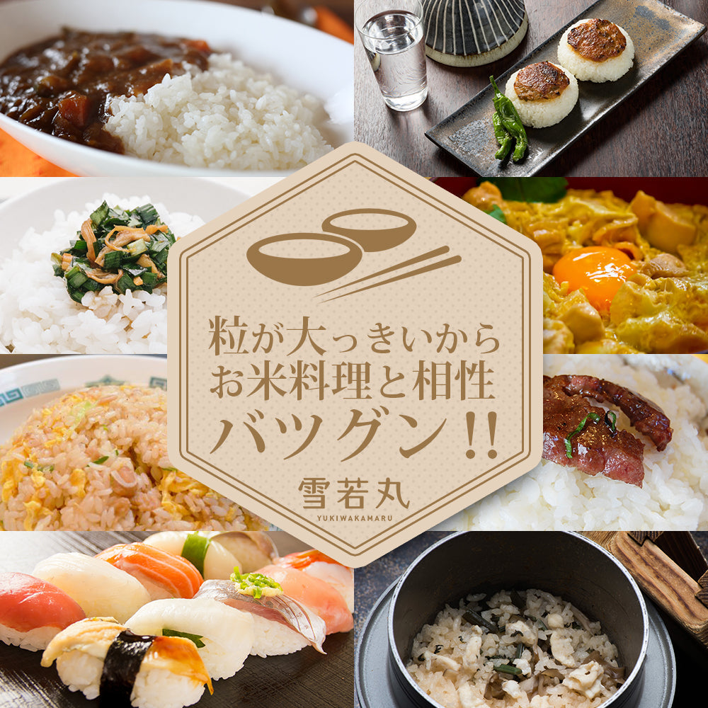 【限定クーポンで20%OFF】雪若丸 玄米 30kg 山形県産 令和3年産 送料無料 30キロ 米 こめ コメ お米 新米