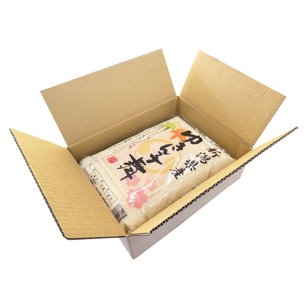 とれたて新米 10kg ゆきん子舞 お米 新潟県産 白米 令和4年産（本州：送料無料）