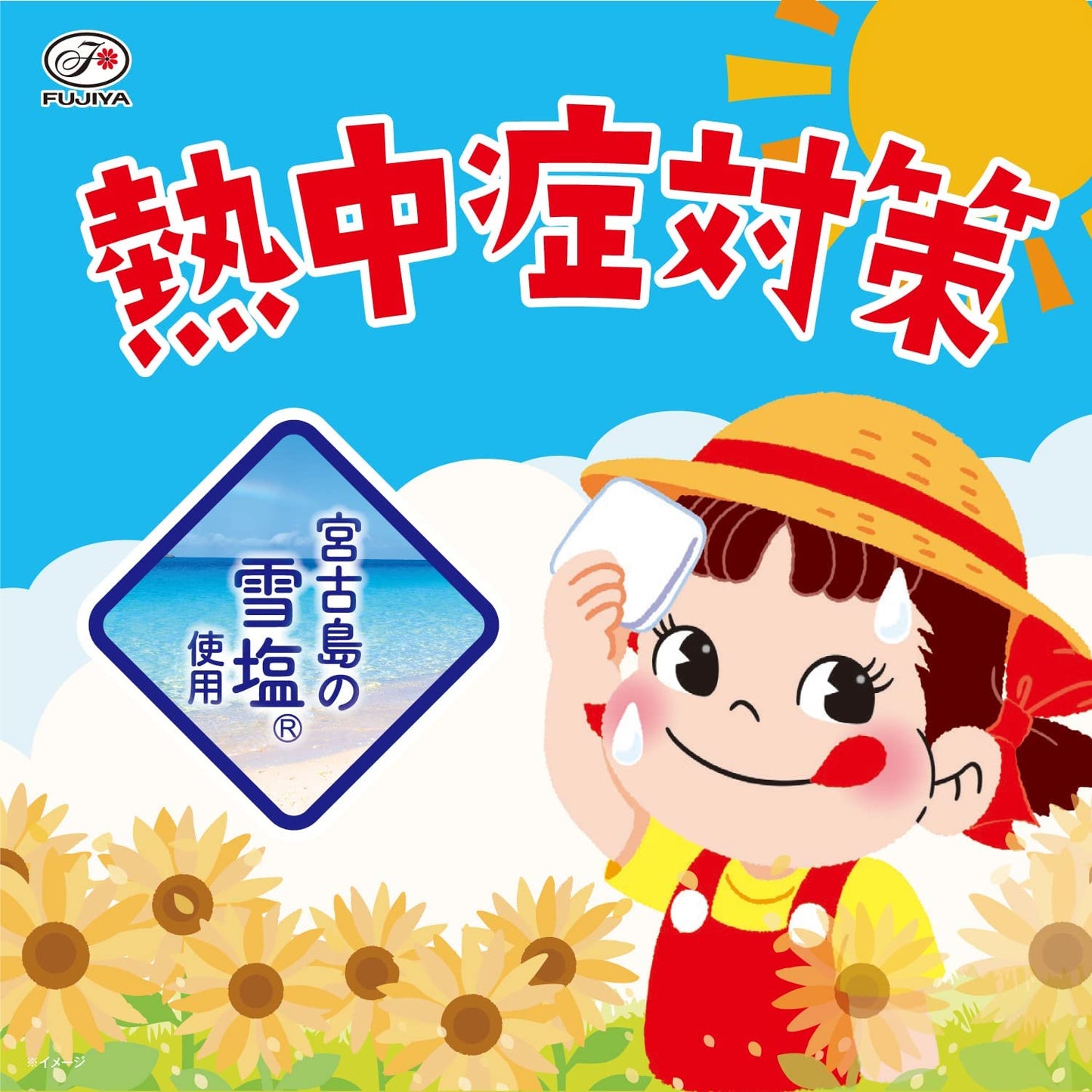 7/20限定全品P3倍 【送料無料】不二家 ソルティグレープフルーツ スカッシュ 500ml×1ケース/24本【熱中症】【熱中症対策】