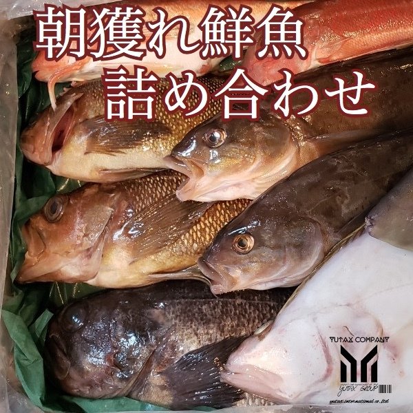 北海道旬の魚介詰め合わせセット