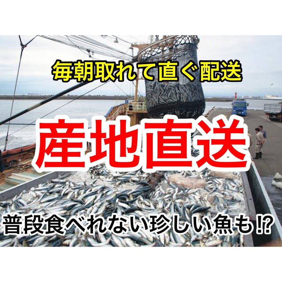 北海道 旬の魚介 詰め合わせセット