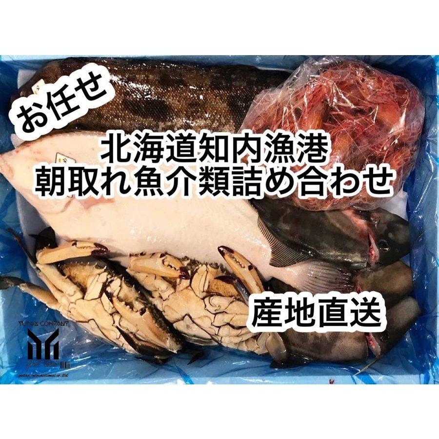 北海道 旬の魚介 詰め合わせセット