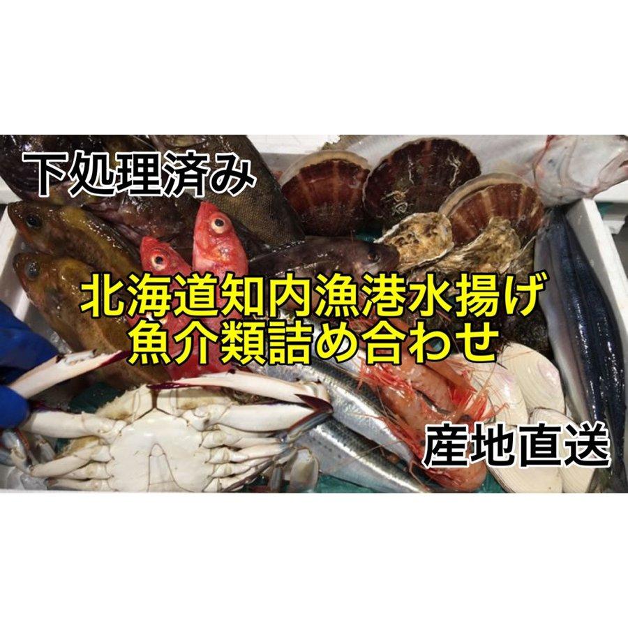 北海道 旬の魚介詰め合わせセット