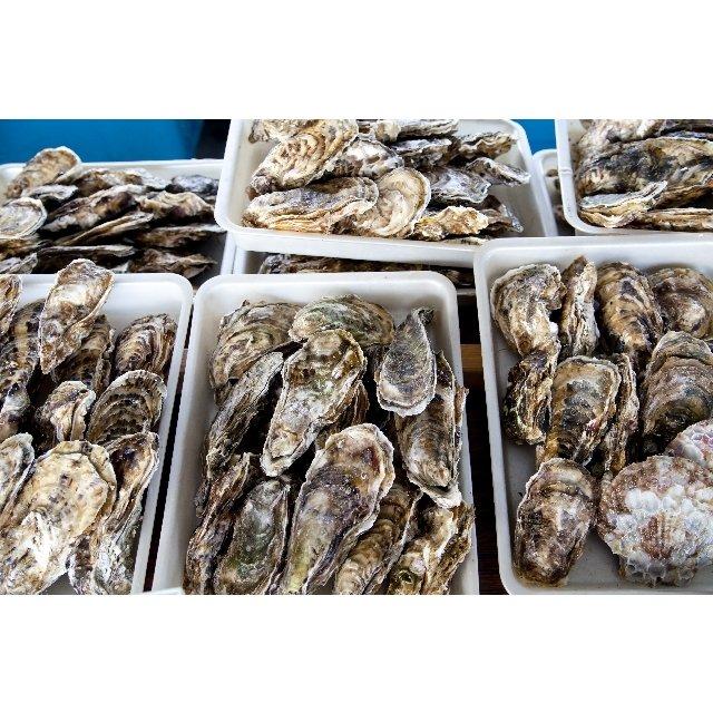 北海道産 特産貝詰め合わせセット ホタテ 青つぶ ほっき貝 牡蠣等
