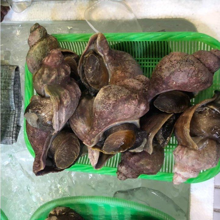 北海道産 特産貝詰め合わせセット ホタテ 青つぶ ほっき貝 牡蠣等