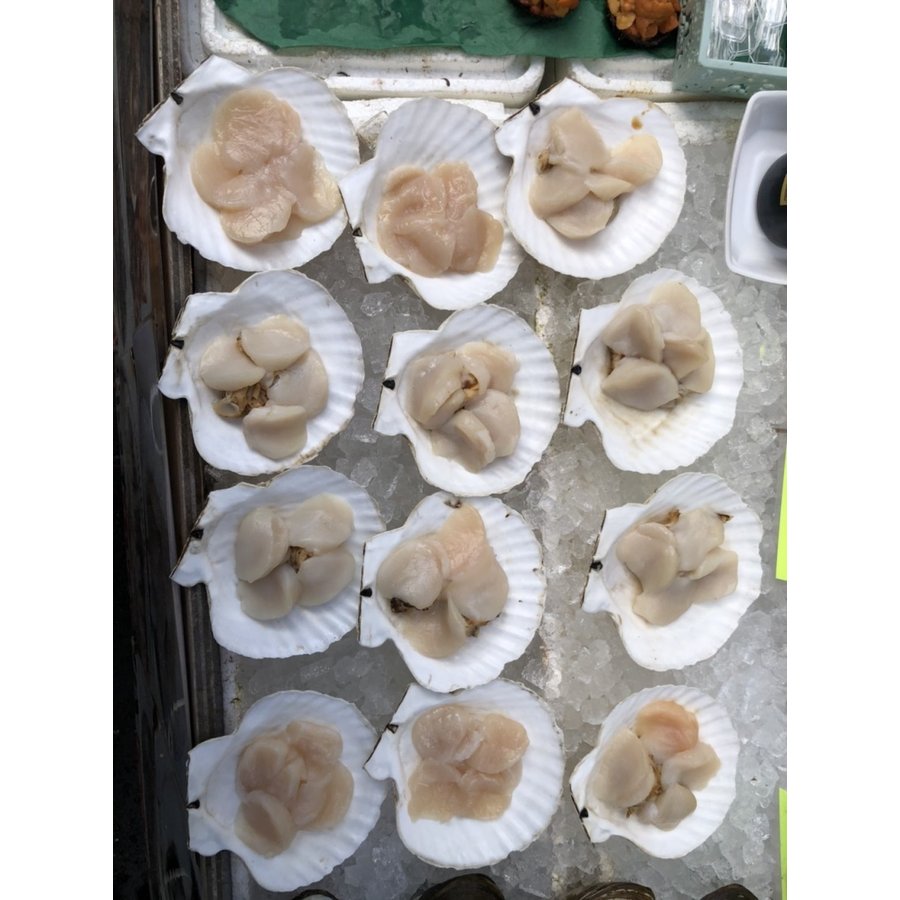 北海道産 特産貝詰め合わせセット ホタテ 青つぶ ほっき貝 牡蠣等