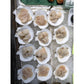 北海道産 特産貝詰め合わせセット ホタテ 青つぶ ほっき貝 牡蠣等
