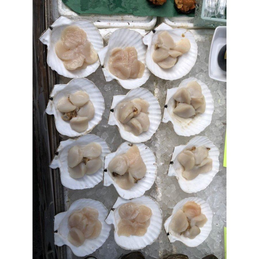 北海道産 特産貝詰め合わせセット ホタテ 青つぶ ほっき貝 牡蠣等