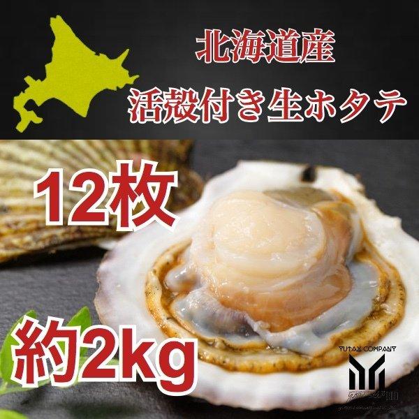 北海道産 殻付き生ホタテ 12枚 約2kg