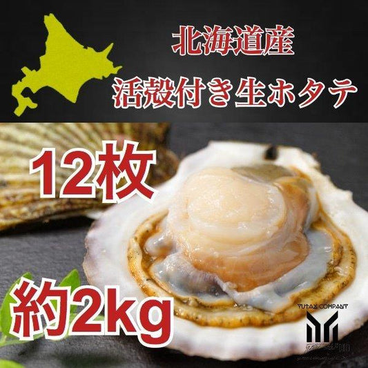 北海道産 殻付き生ホタテ 12枚 約2kg