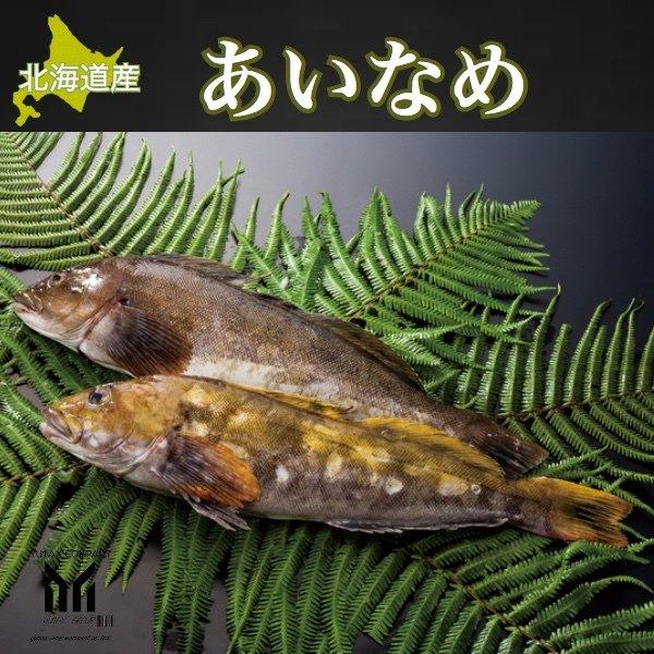 北海道産 あいなめ（あぶらこ）1kg （2尾）