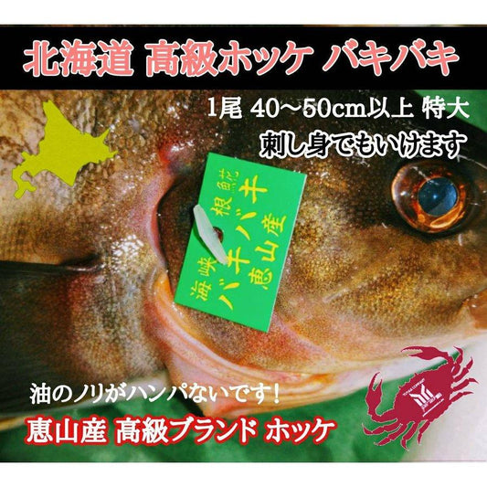 北海道恵山産 特大 バキバキ 3尾