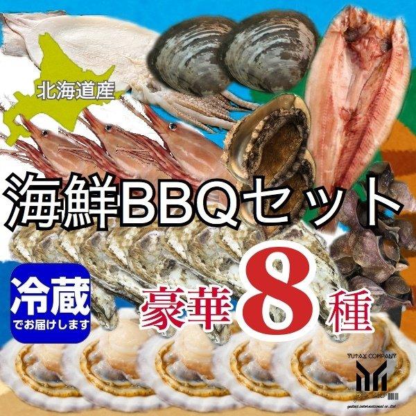 北海道産 海鮮BBQセット 生ホタテ貝 蝦夷あわび 生牡蠣 青つぶ 生ほっき貝 一夜干しイカ 生ボタンエビ ほっけの開き