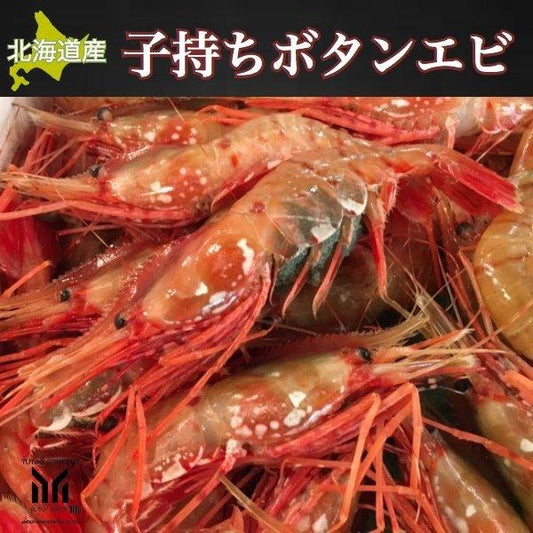 北海道産 子持ちボタンエビ 500g