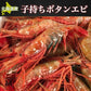 北海道産 子持ちボタンエビ 500g