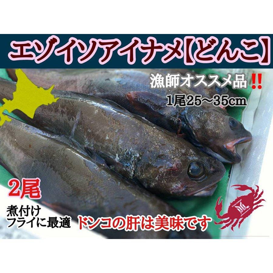 北海道ご当地魚 蝦夷あいなめ（どんこ） 2尾