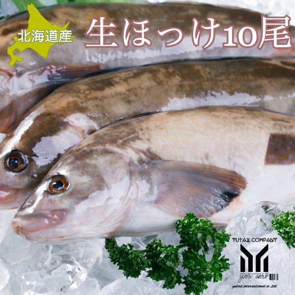 北海道産 生ほっけ 10尾