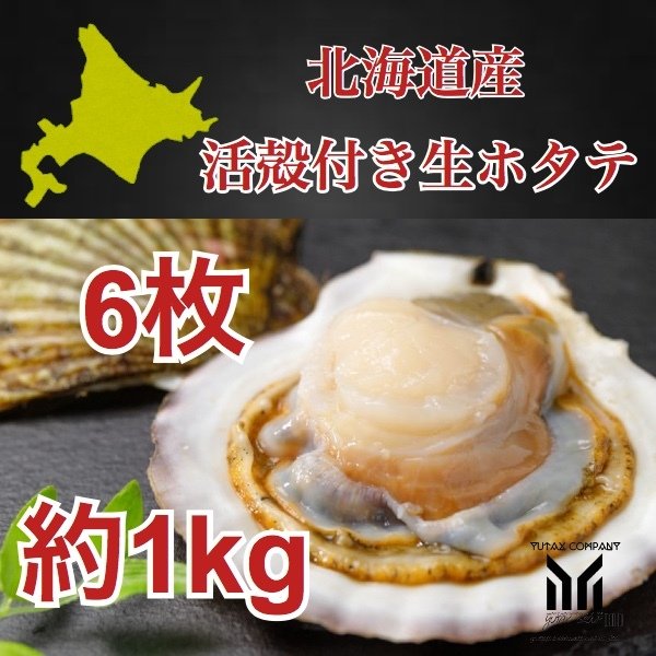 北海道道産 殻付き生ホタテ 6枚 約1kg