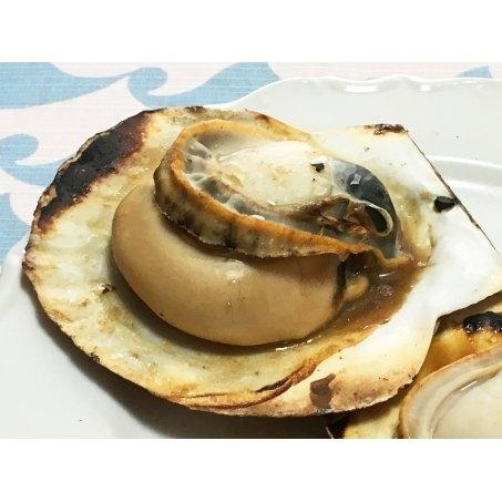 北海道道産 殻付き生ホタテ 6枚 約1kg