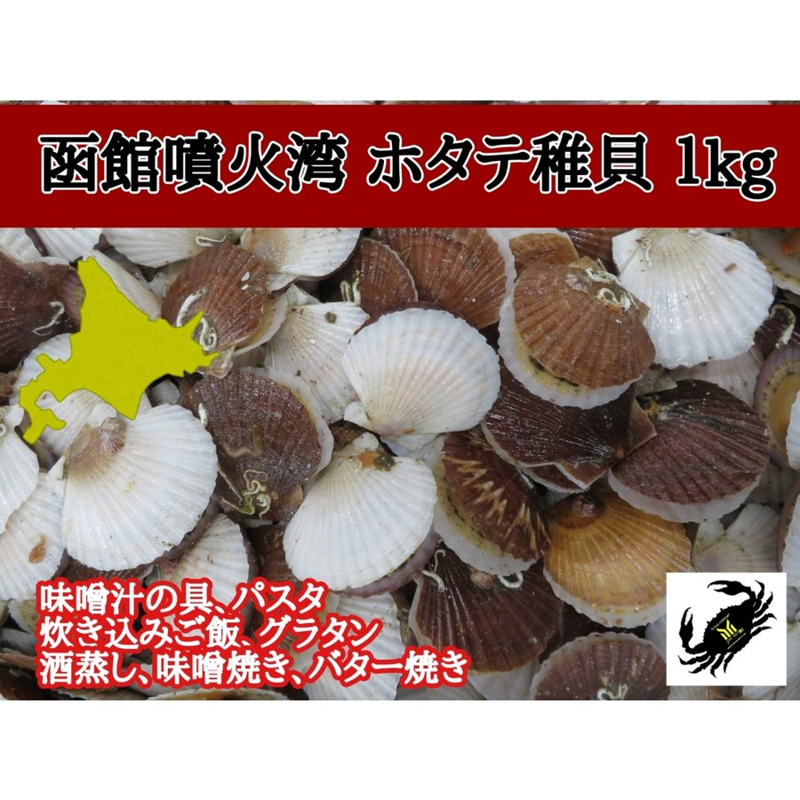 北海道 函館噴火湾産 ホタテ稚貝 1kg