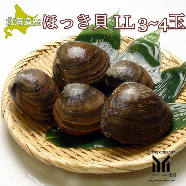 北海道産 ほっき貝 特大LLサイズ ３〜４個 約1.5kg