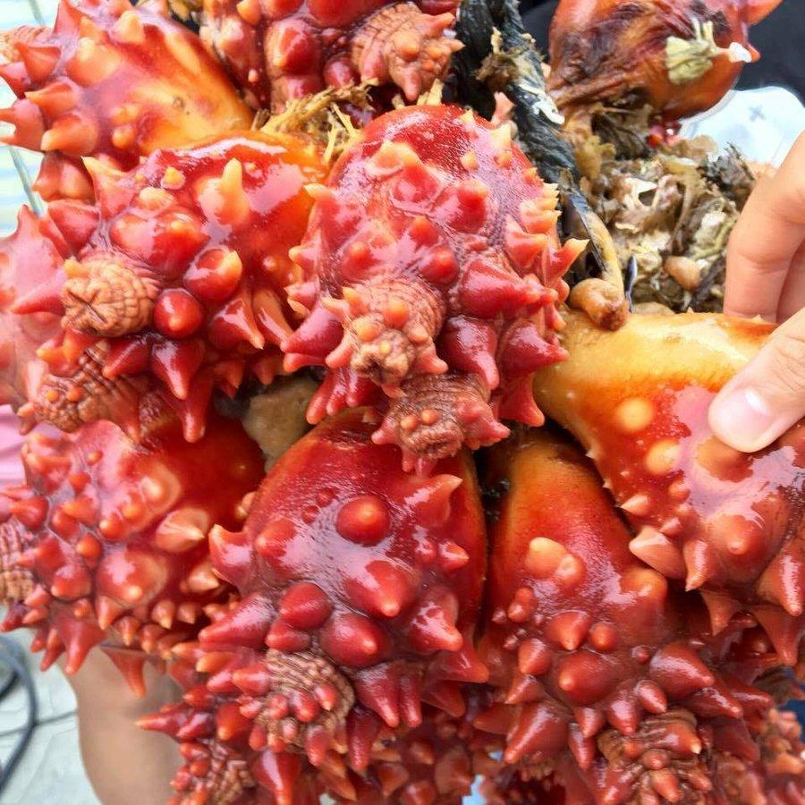 北海道産 天然 ホヤ 10個