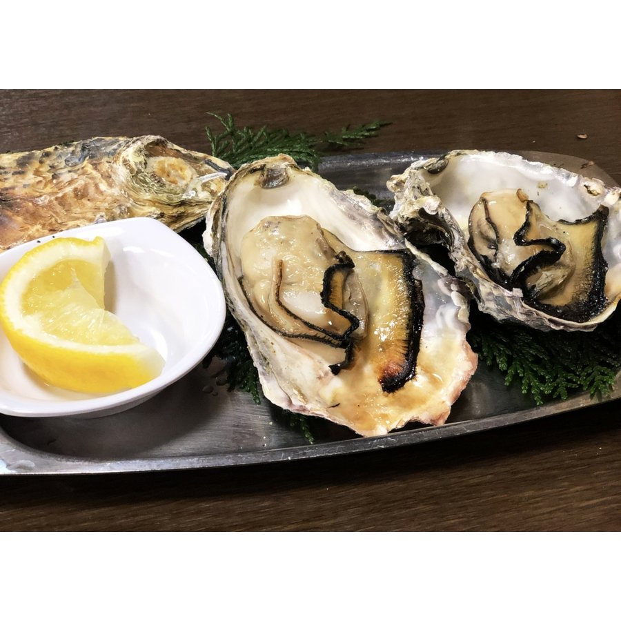 北海道産 殻付き ホタテ 蝦夷あわび 牡蠣 ほっき貝 豪華 貝4種特盛りセット 3kg