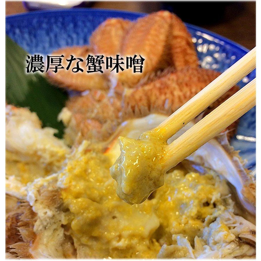 北海道産 毛蟹 500g 1尾