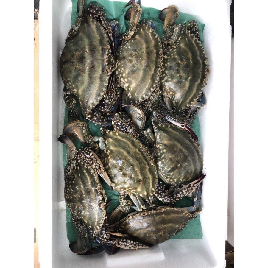 北海道函館発　内子たっぷり カンジャンケジャン 1kg