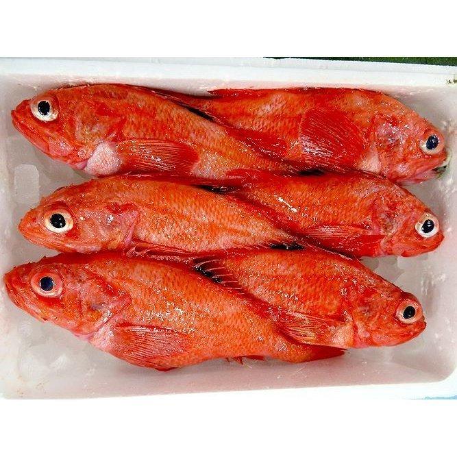 高級 北海道産きんき（キチジ）2尾（350g〜400g×2）約700g〜800g