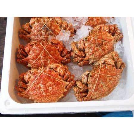 北海道産 クリガニ 5尾 約1kg